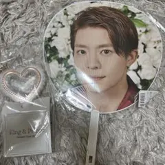 King&Prince CONCERT TOUR 2019 ペンライト　岸団扇