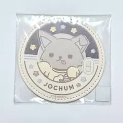 2025年最新】jochum ピーハイの人気アイテム - メルカリ