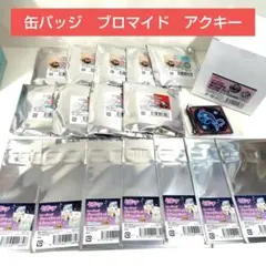 初音ミク ドン・キホーテフェア 2024 ホログラム缶バッジ 1box＋バラ１７