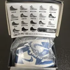 NIKE Air Jordan 1 STORM BLUE エアジョーダン　ガチャ