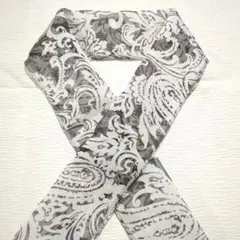 Item thumbnail for item 555eab7c-3d71-4e97-b9c8-bddd9eb62fd6