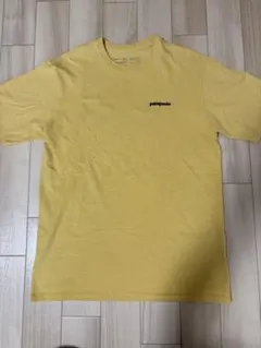Patagonia パタゴニア Tシャツ Sサイズ イエロー メンズ レディース