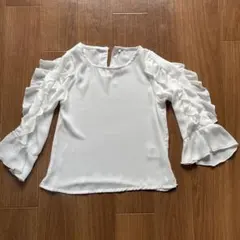 Item thumbnail for item edb7f31b-0736-4e13-97e2-ab0d8b331441