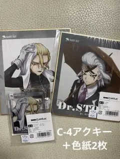 雅*。様 Dr.STONE レイニーデイ DMM スタンリー ゼノ アクキー 色