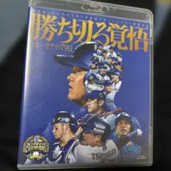 超希少】 大谷翔平 ファイターズ デザインチケット 1枚 半券 自分超え