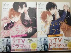 湊商事コインランドリー ノベル 2冊セット