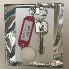 ハイキュー 音駒 トレーディング高校名付き鍵チャームキーホルダー 新品