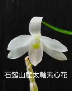 takuya様 リクエスト 3点 まとめ商品