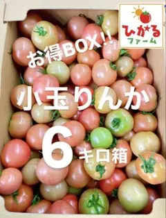 大容量でお買い得⭐️小玉なサイズのりんか6キロ‼️ひかるファーム