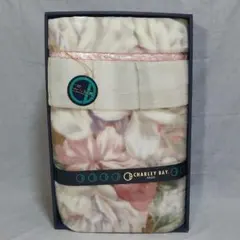 Item thumbnail for item c0ae7769-cb36-4247-9374-5696670eb505