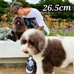 26.5 VANS　BEDWIN THE HEARTBREAKERS　木村拓哉のサムネイル