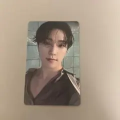 seventeen BE THE SUN tour 特典　トレカ　ディノ