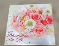 Item thumbnail for item 1a55124e-d0e5-422a-82cb-a10357bf0d2e