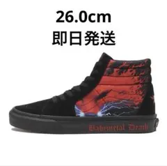 VANS SK8-HI Ben Kadow Supreme限定カラー 27.5 - メルカリ