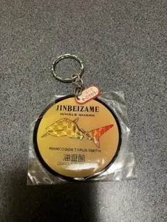 海遊館 ジンベエザメ キーホルダー 光で変わるオーロラカラーのサムネイル
