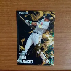 柳田悠岐 スターカード サイン入り