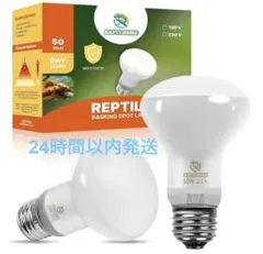 Item thumbnail for item 2183f1d3-8814-4908-8c22-5935b3d78608