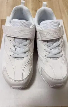 瞬足　23センチ