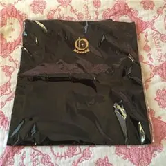 三代目JSB 登坂広臣プロデュースミニトート