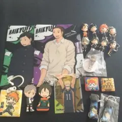 ハイキュー 烏野高校 グッズ