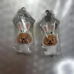 スキズSKZOOガチャつまんでつなげてますこっとvol.2 ハンクォッカ2個