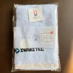 Item thumbnail for item 518bd84f-90cd-484b-9236-53e27367691c