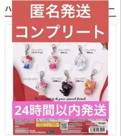 m*様 【匿名当日発送】　ハローキティ　めじるしアクセサリー　コンプリートセット