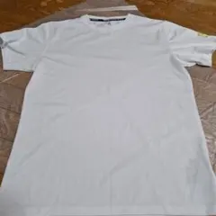 Item thumbnail for item 3518ee4d-f171-4d69-8e76-fe7e0f38107f