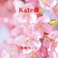 Kate様 リクエスト 2点 まとめ商品