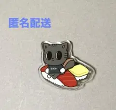 TXT プルバトゥ ご当地 アクリルバッジ 有明 ダゴニャン テヒョン