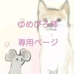 ゆめぴろ様専用ページ