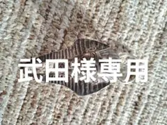 Item thumbnail for item 46e61054-78dd-431f-95a9-9d4b27e2e2cd