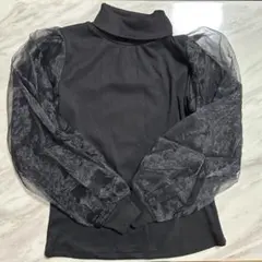 Item thumbnail for item 2d517e17-4762-4655-9100-5a4665f89ca2