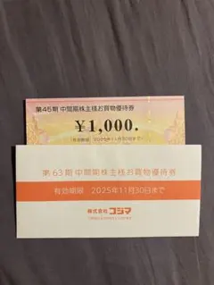 ビックカメラ　株主優待券 ¥1,000 2025年11月30日まで