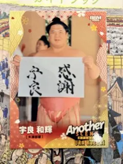 大相撲 BBM 2026 SUMO CARDS another 宇良のサムネイル