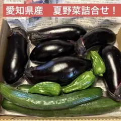 【愛知県産】朝採り⭐︎茄子、きゅうり、ピーマン詰合せ⭐︎宅急便コンパクトのサムネイル