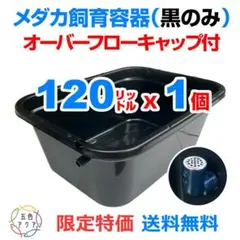 2026年最新】大型タンク・池の人気アイテム - メルカリ