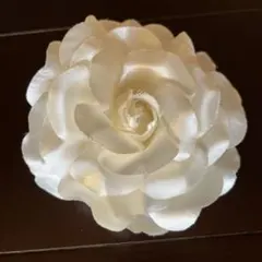 Item thumbnail for item 00eb4c3b-0e66-4345-acb0-656c90876e70