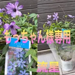2026年最新】クレチマスの人気アイテム - メルカリ