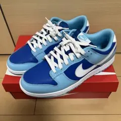 【美中古】 Nike Dunk Low Retro QS Argon 29cm