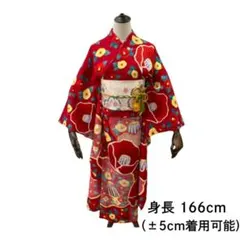 ≪早い者勝ち≫【お得品】 振袖 正絹 古典柄 成人式 単品 赤 S*53