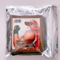 SNK 餓狼伝説 KOF’95 トレーディングパブミラーミニマグネット テリー