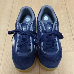 九産大 MIZUNO 体育館シューズ 23.5cm