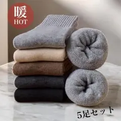 レディース 靴下 厚手 5足セット 防寒 冷え性 裏起毛 柔らかい 暖かい