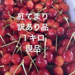 紅てまり　訳あり品のサムネイル