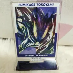 僕のヒーローアカデミア 常闇踏陰 アクリルスタンド