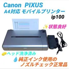 2026年最新】iP100 CANONモバイルプリンタの人気アイテム - メルカリ