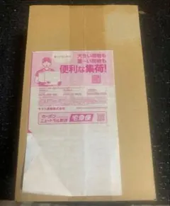 新品・未開封　ポケモンセンター　ヒロシマ　スペシャルBOX