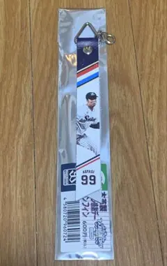 東京ヤクルトスワローズ　青柳 晃洋 投手　2025ファン感ボンフィン