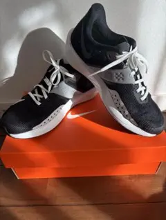 ナイキ　ライバルフライ4 23.0センチ